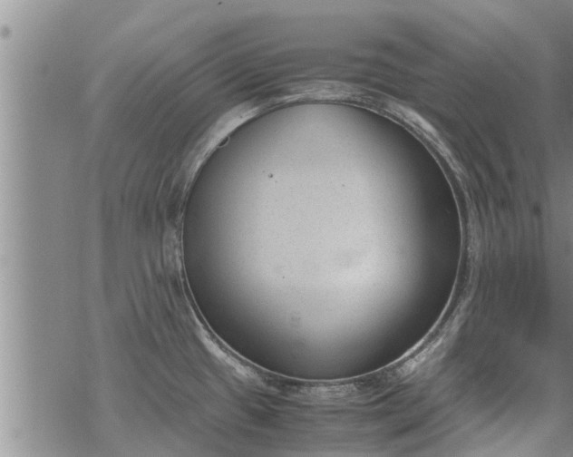 X0000069391433200605192203