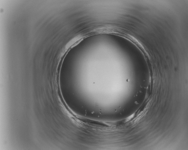 X0000069391434200605192203