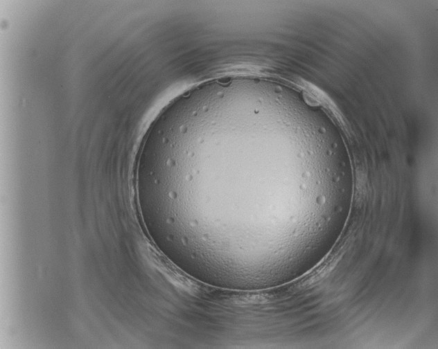 X0000069391435200605192203