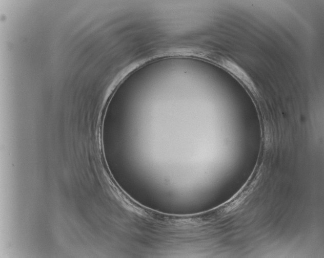 X0000069391436200605192203