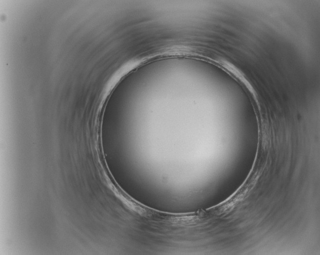 X0000069391437200605192203