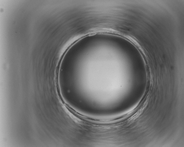 X0000069391438200605192203