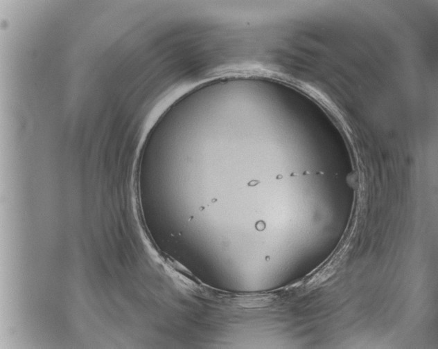 X0000069391440200605192203