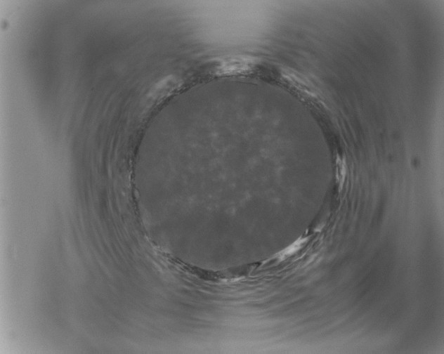 X0000069391441200605192202