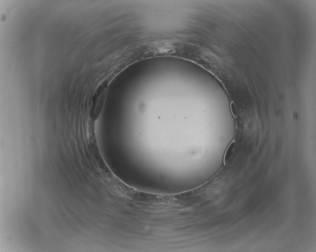 X0000069391442200605192202