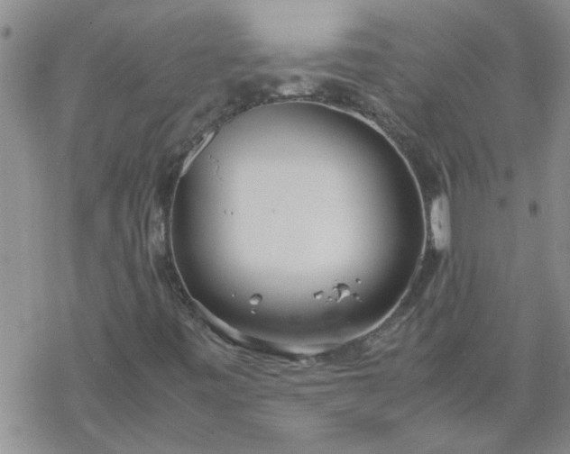 X0000069391443200605192202