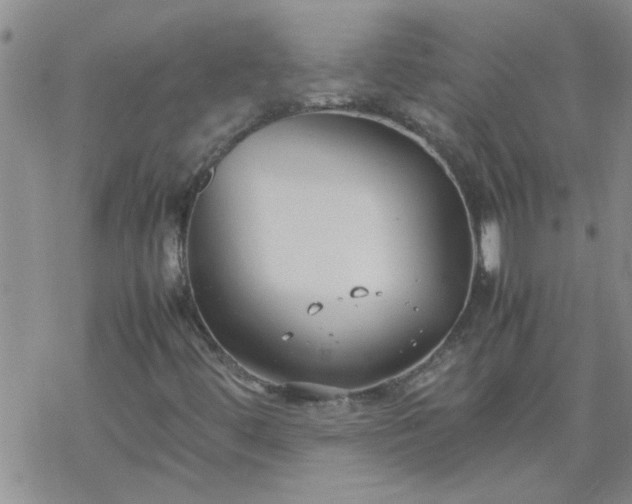 X0000069391444200605192202