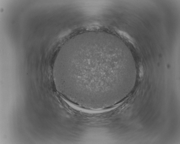 X0000069391445200605192202