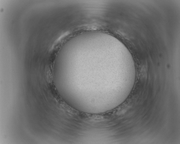 X0000069391446200605192202