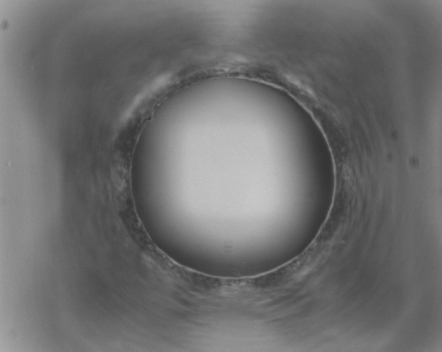 X0000069391447200605192202