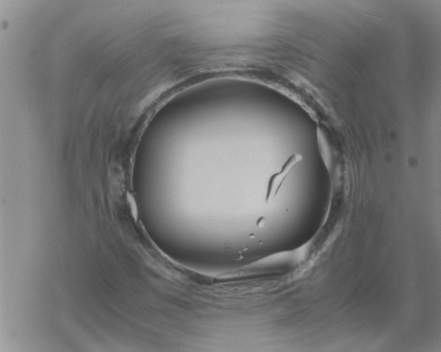 X0000069391449200605192202