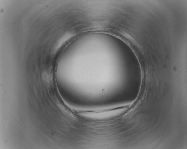 X0000069391450200605192202