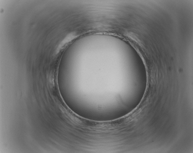 X0000069391451200605192202