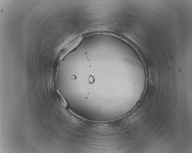 X0000069391452200605192202