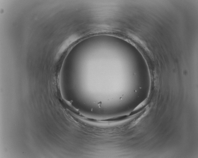 X0000069391453200605192202