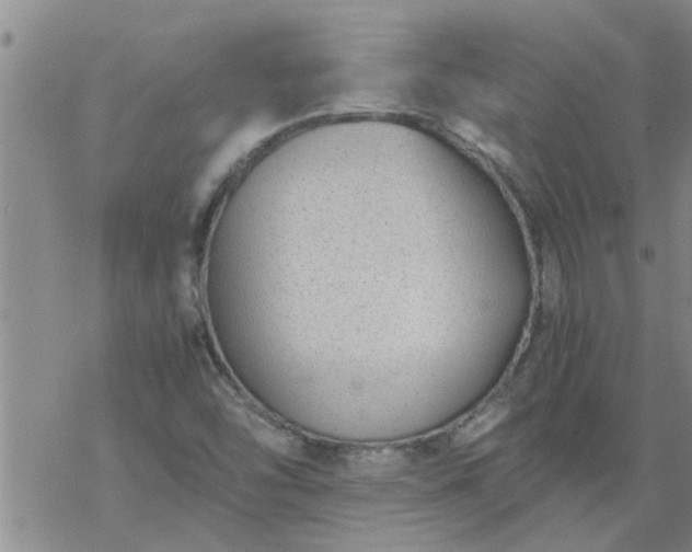 X0000069391454200605192202