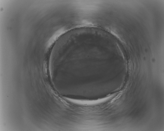 X0000069391455200605192202