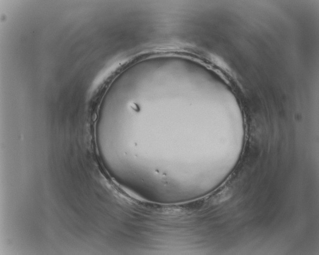 X0000069391456200605192202