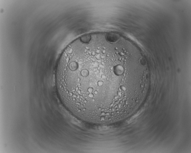 X0000069391459200605192202