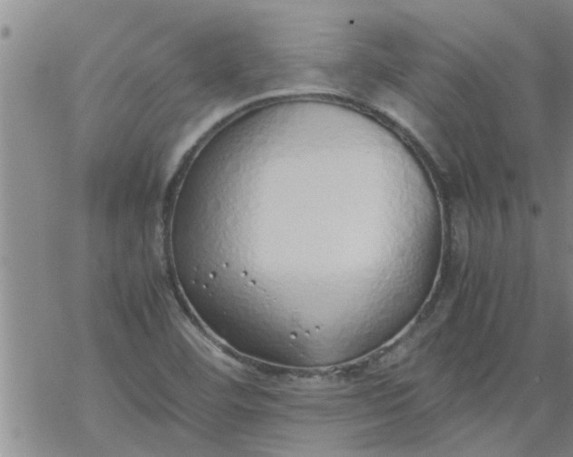 X0000069391460200605192202