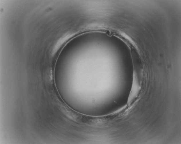 X0000069391461200605192202