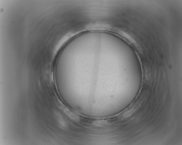 X0000069391462200605192202