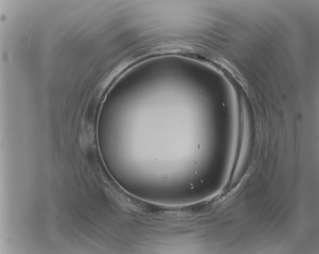 X0000069391465200605192202