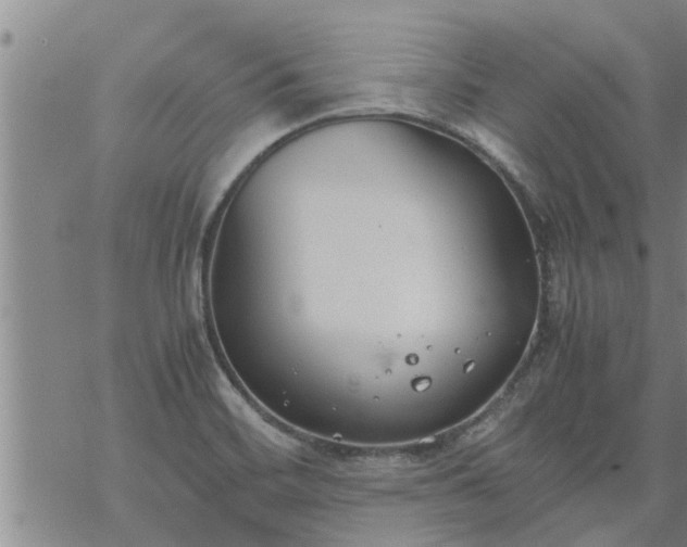 X0000069391468200605192202