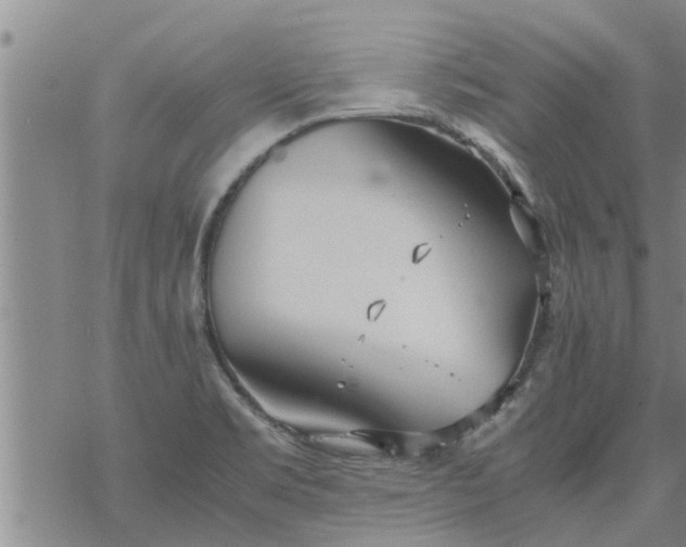 X0000069391469200605192201