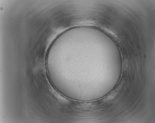 X0000069391470200605192201