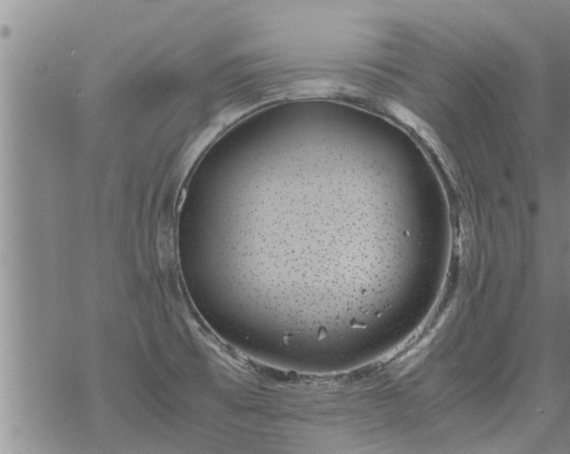 X0000069391473200605192201