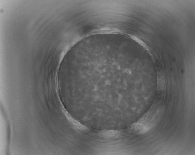 X0000069391474200605192201