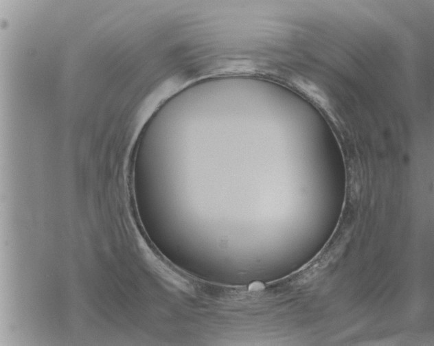 X0000069391475200605192201