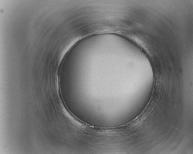 X0000069391476200605192201