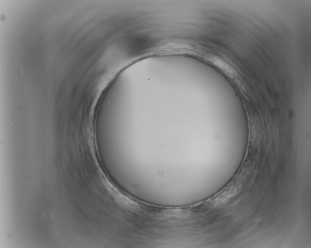 X0000069391478200605192201