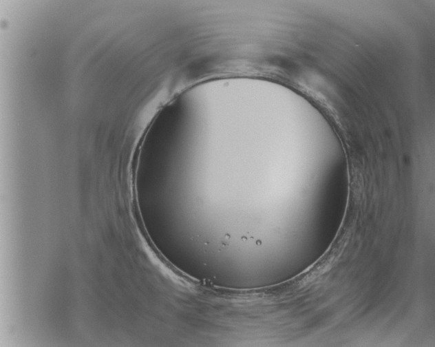 X0000069391479200605192201