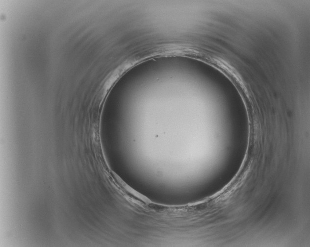 X0000069391481200605192201