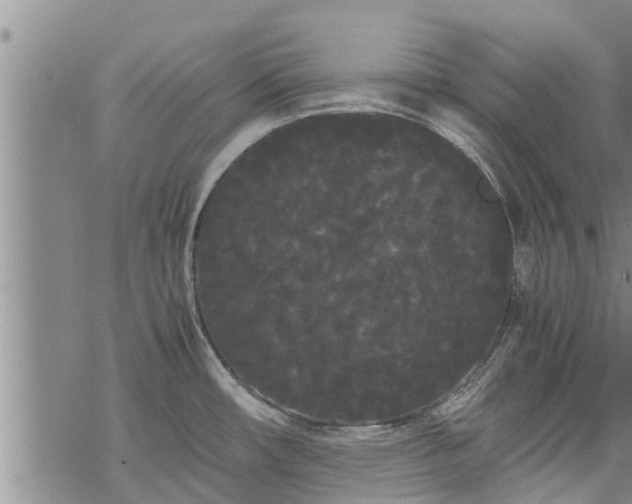 X0000069391482200605192201