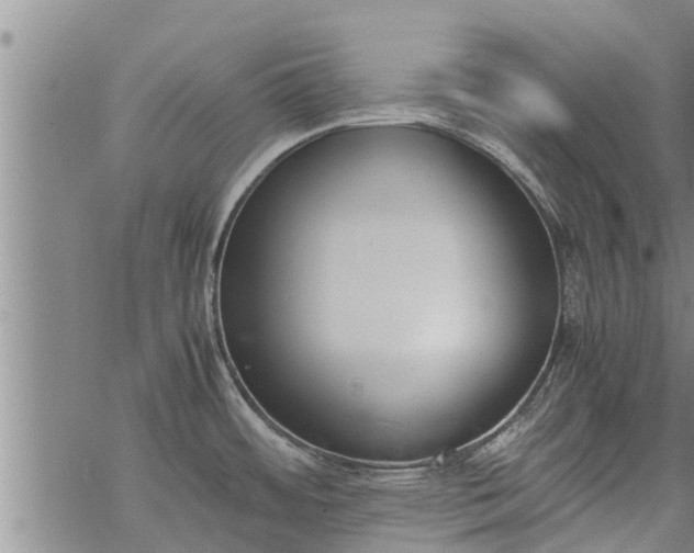 X0000069391484200605192201