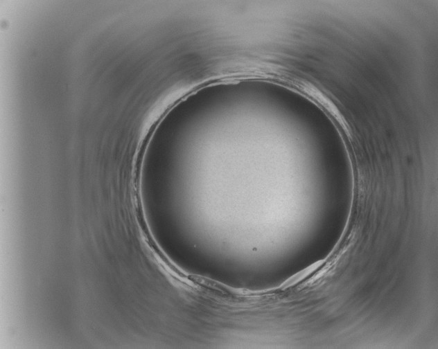 X0000069391485200605192201