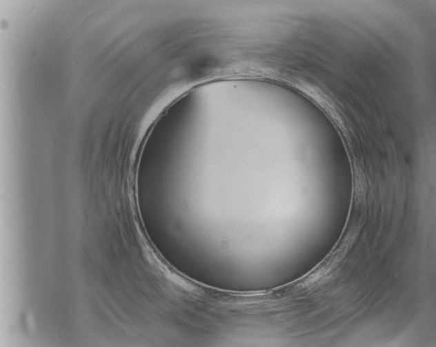 X0000069391486200605192201