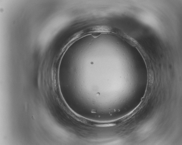 X0000069391487200605192201