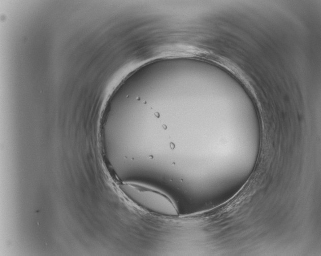 X0000069391488200605192201