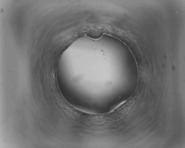 X0000069391489200605192200