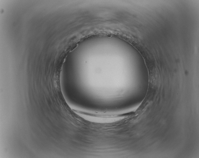 X0000069391490200605192200