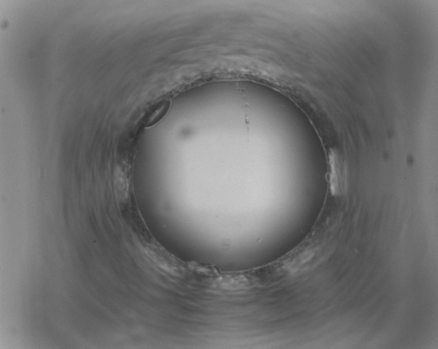 X0000069391491200605192200