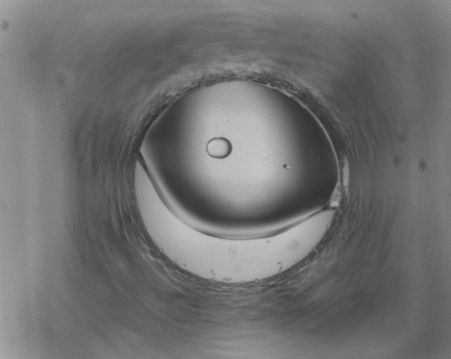 X0000069391492200605192200