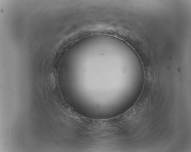 X0000069391493200605192200