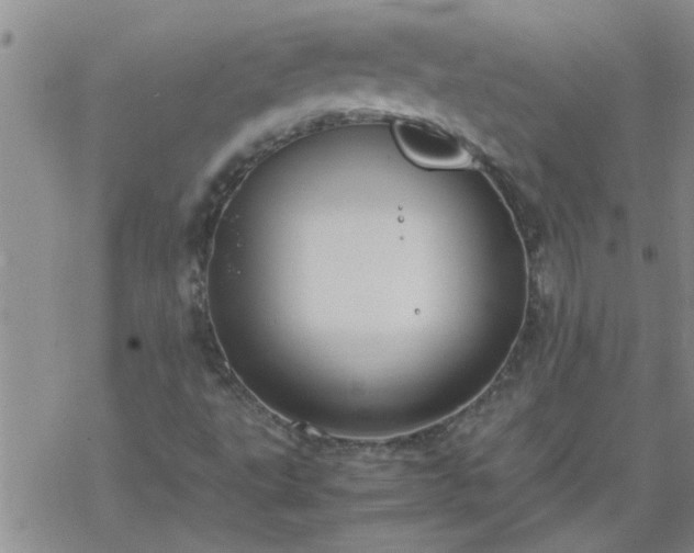 X0000069391495200605192201