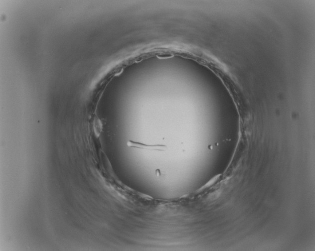 X0000069391496200605192201